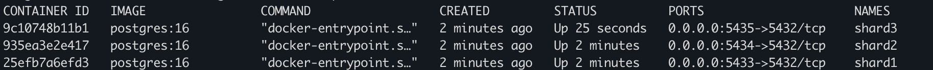 Postgres docker containerlari